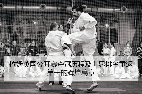 la-mu-ying-guo-gong-kai-sai-duo-guan-li-cheng-ji-shi-jie-pai-ming-chong-fan-di-yi-de-hui-huang-pian-zhang-2-377.jpg